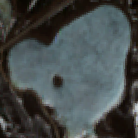 Nesland Lake - May 01, 2026
