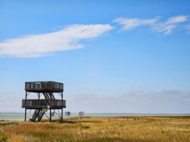 Reed Lake Lookout Tower