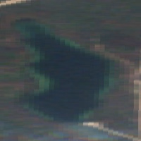 Shannon Lake