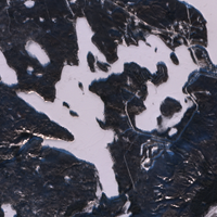 Jumbo Lake - Dec 20, 2025