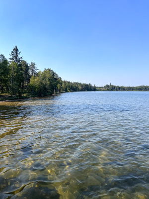 View of lake from rec. site dock.
