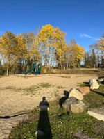 Playground at the beach.