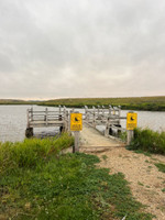 Wooden fishing dock.