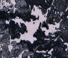 MacKay Lake - Jan 16, 2026