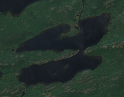 Shannon Lake - Jul 24, 2026