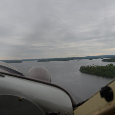 Otter from the Air