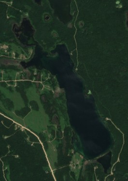 Young Loon Lake - Jul 12 - Jul 19
