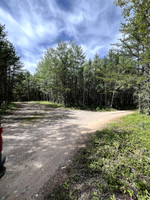 There is a fork on the road into the lake, you&#039;ll want to take the right to get to the boat launch.