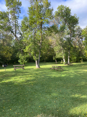 Day use areas in the park.