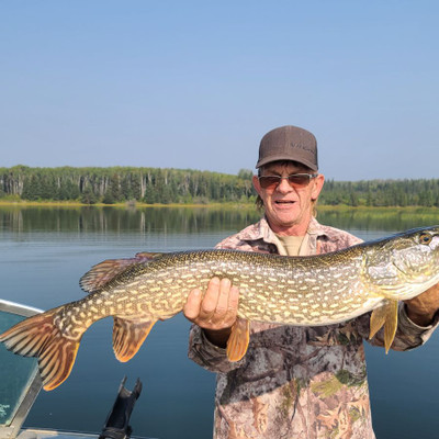 Some nice sized pike 