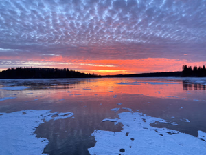 Pierce lake