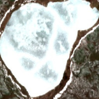 Pear Lake - May 09, 2026