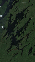Davin Lake