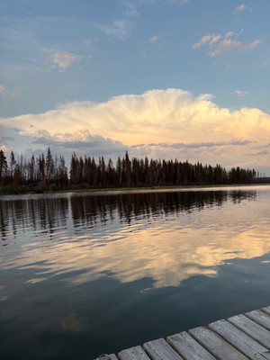 After all the fires there is still beauty at East Trout Lake 