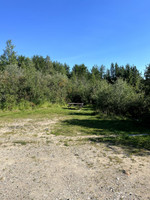 Picnic area.