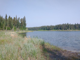 View of the lake