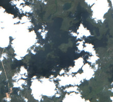 Mawdsley Lake - Jul 24, 2026