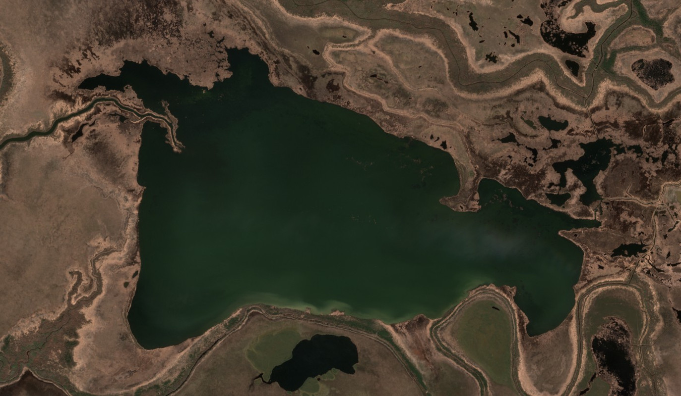 Cut Beaver Lake - May 22 - May 29