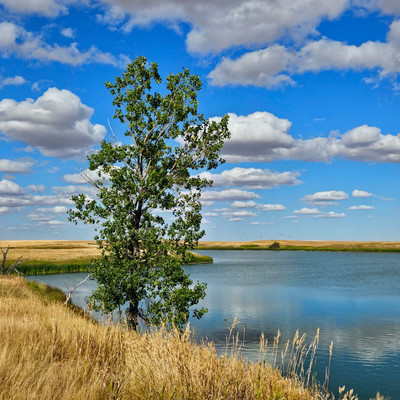 West side shoreline.