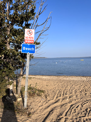 Meeting Lake Regional Park Beach