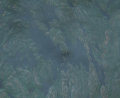 Waskwei Lake - Jul 24, 2026