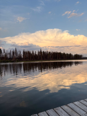 After all the fires there is still beauty at East Trout Lake 