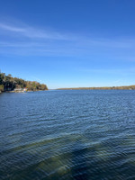 View of the lake from the dock.