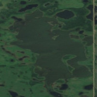 Lady Lake