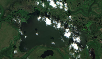 Cut Beaver Lake