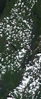 Lac Île-à-la-Crosse - Jul 24, 2026