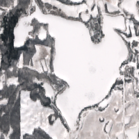 Martins Lake - Mar 27, 2026