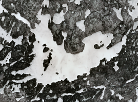 Planinshek Lake - Apr 21, 2026