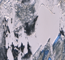 Isolation Lake - Jan 24, 2026