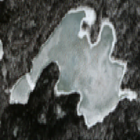 Turtle Lake - Apr 21, 2026