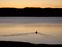 Sunset over Lac Pelletier
Photo @saskstormchaser Sunset over Lac Pelletier
Photo @saskstormchaser