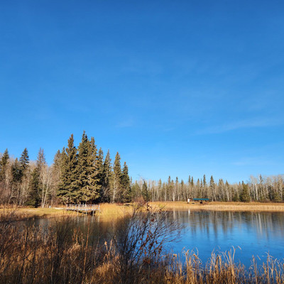 Musker Pond at Candle Lake Provincial Park 