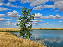 West side shoreline.