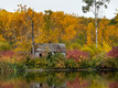 Little cabin in the woods