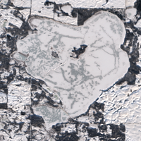 Iroquois Lake - Jan 26, 2026