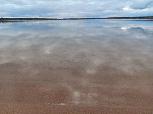 Crystal clear water at the beach!