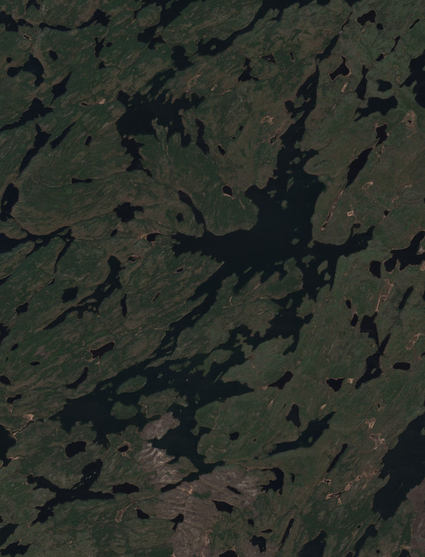 Campbell Lake - May 22 - May 29