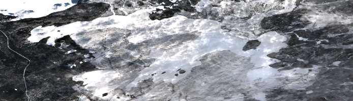 Lloyd Lake - Feb 24, 2026
