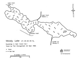 Woody Lake