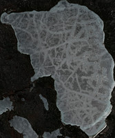 Kingsmere Lake - May 09, 2026