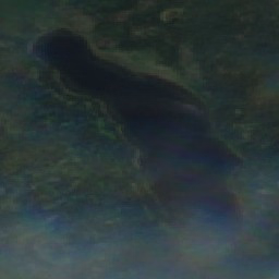 Hidden Lake - Jul 13 - Jul 20