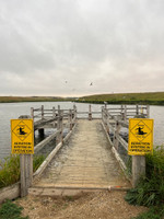 Wooden fishing dock.