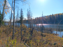 View of the lake from the parking area.