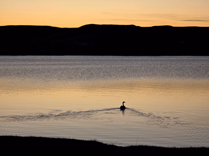 Sunset over Lac Pelletier
Photo @saskstormchaser Sunset over Lac Pelletier
Photo @saskstormchaser