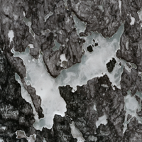 Sahli Lake - Apr 21, 2026