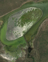 Crane Lake